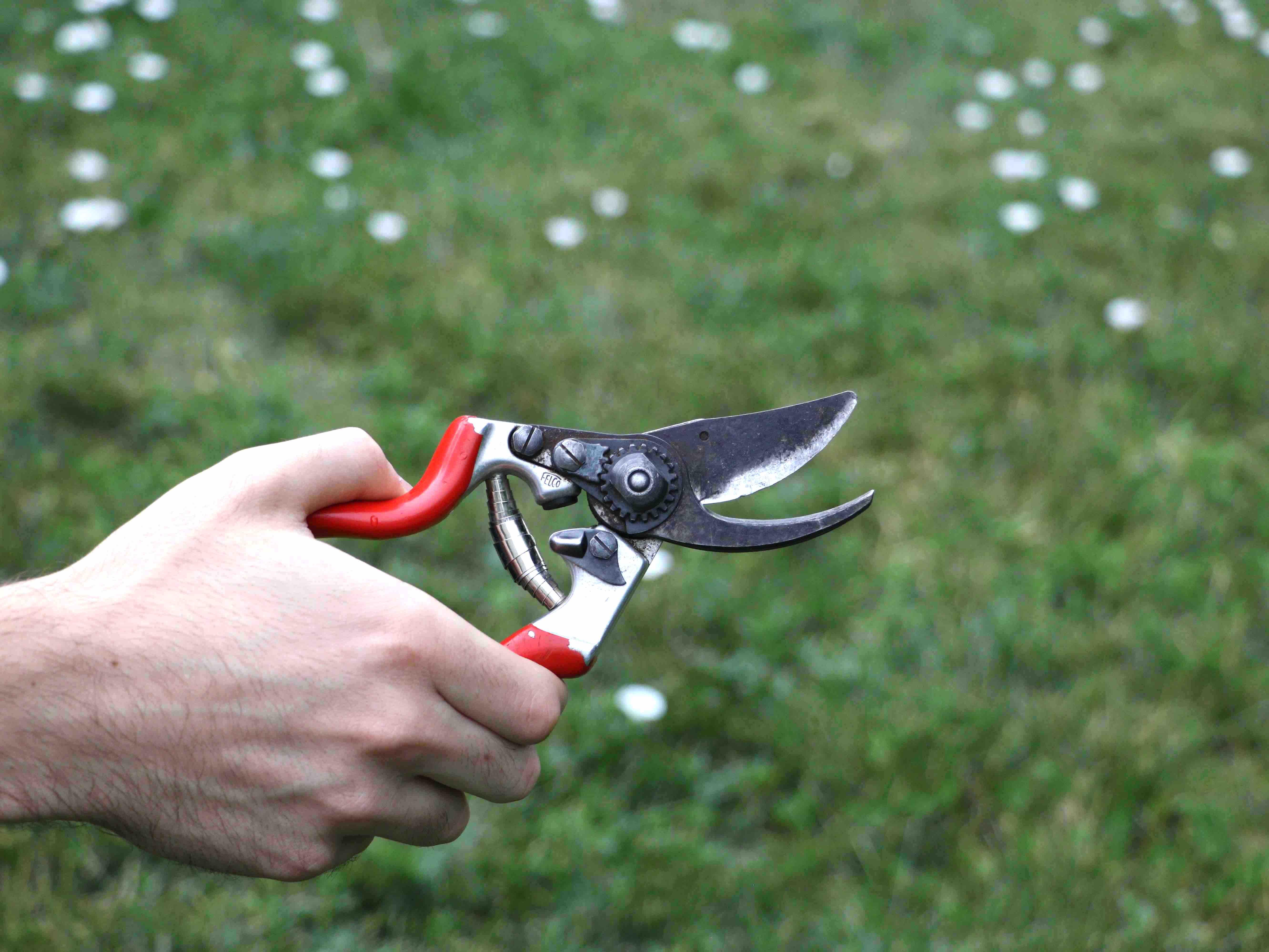 A cutaway reveals a wicked mint chopping device.